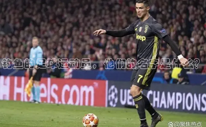 米兰app官网登录入口APP下载华扬联众钓鱼的足球运动员，他们的名字是什么？
