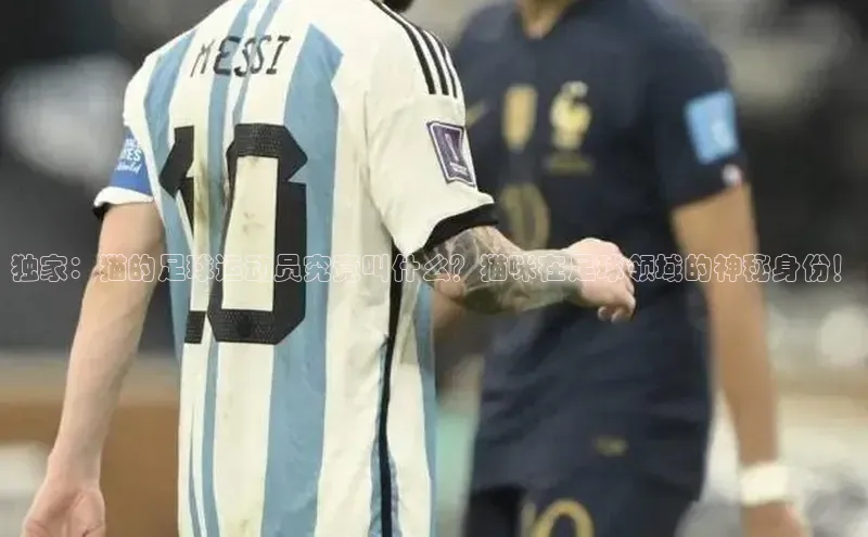 米兰app·体育登录入口猫眼独家：猫的足球运动员究竟叫什么？猫咪在足球领域的神秘身份！