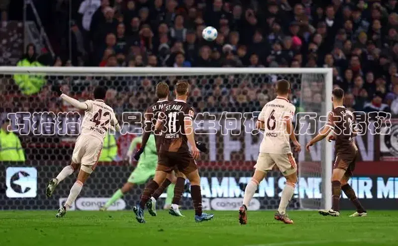 米兰体育中心如流巧猎猎头|足球先生何硕简历大揭秘