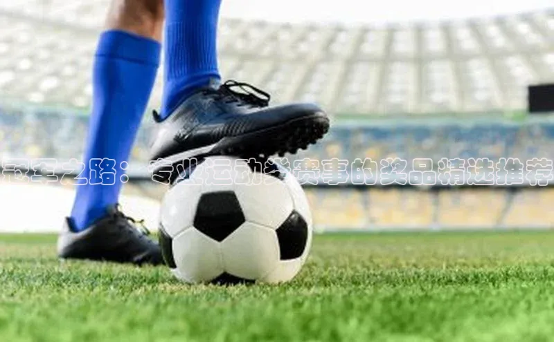 米兰app官方app下载百度集团冠军之路：专业运动类赛事的奖品精选推荐