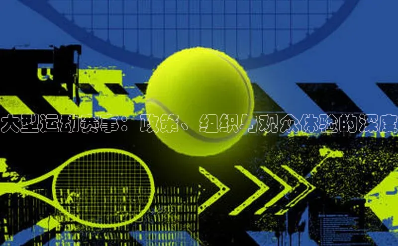 大型运动赛事：政策、组织与观众体验的深度