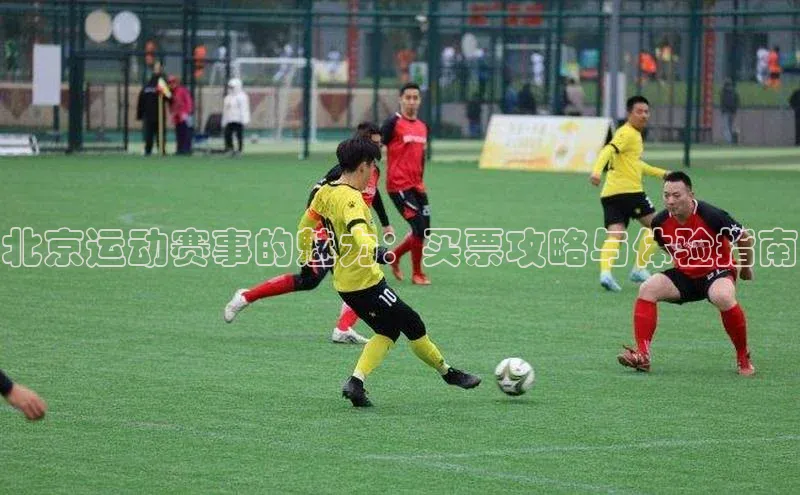 北京运动赛事的魅力：买票攻略与体验指南