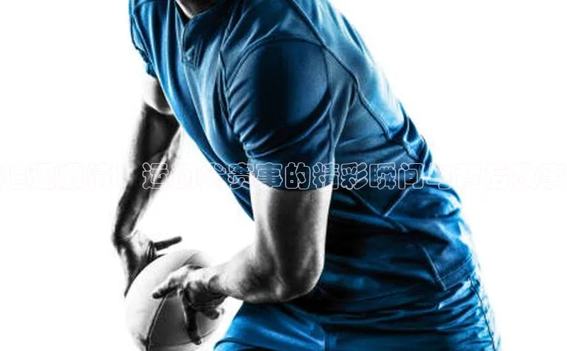 追逐激情：运动犬赛事的精彩瞬间与背后故事