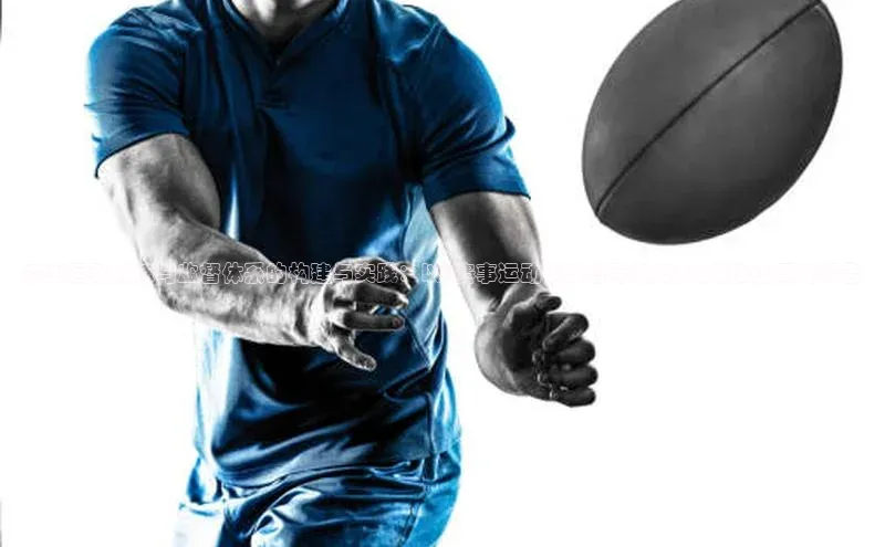 赛事运动训练与监督体系的构建与实践：以<赛事运动训练督导制度>为核心的研究报告