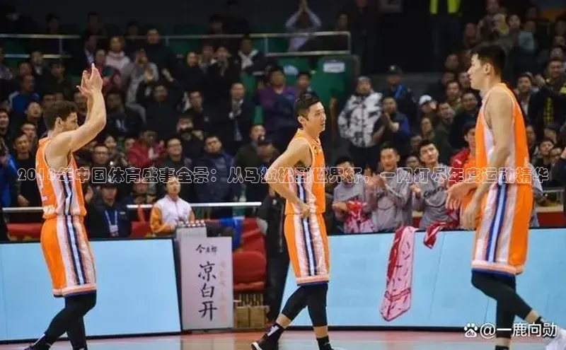 2018年中国体育盛事全景：从马拉松到世界杯，一网打尽年度运动精华