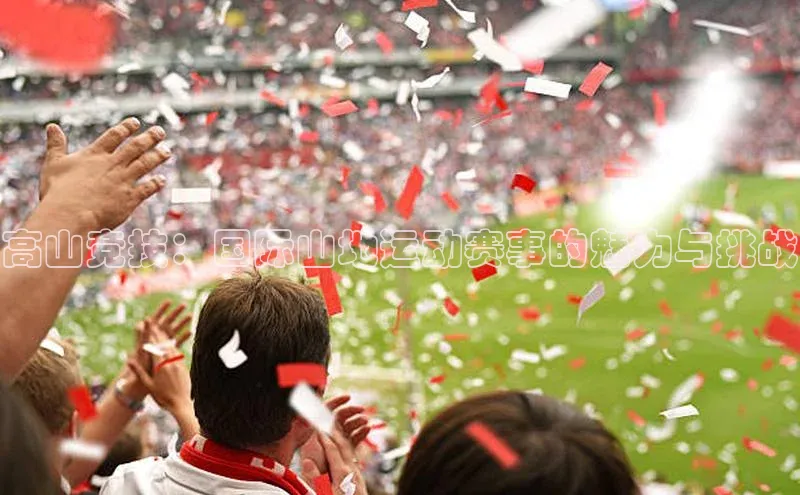 高山竞技：国际山地运动赛事的魅力与挑战