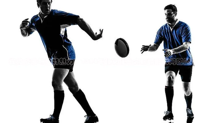 辉煌成就与独特魅力：2024年北京残奥会的精彩瞬间回顾