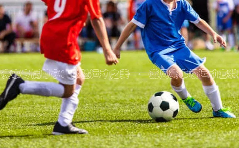 赛事专属尊享：体验运动之美——薰风赛事级运动套装