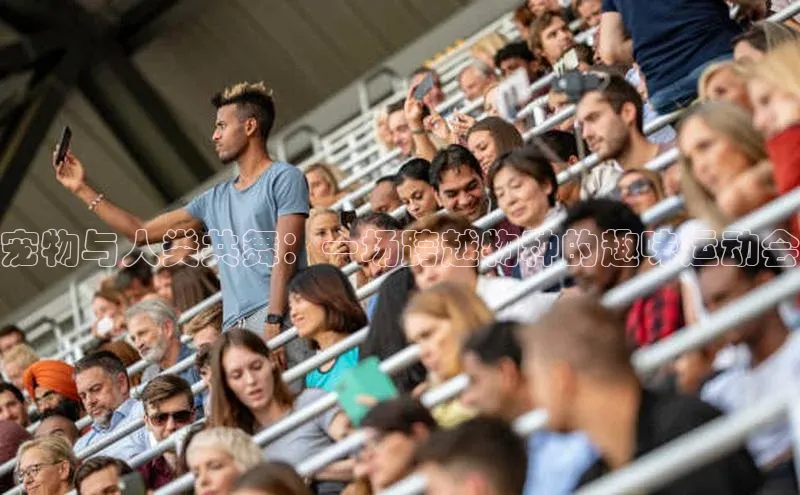 宠物与人类共舞：一场跨越物种的趣味运动会