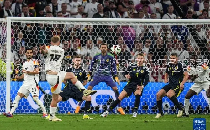 活力挑战：极限与速度的运动赛事