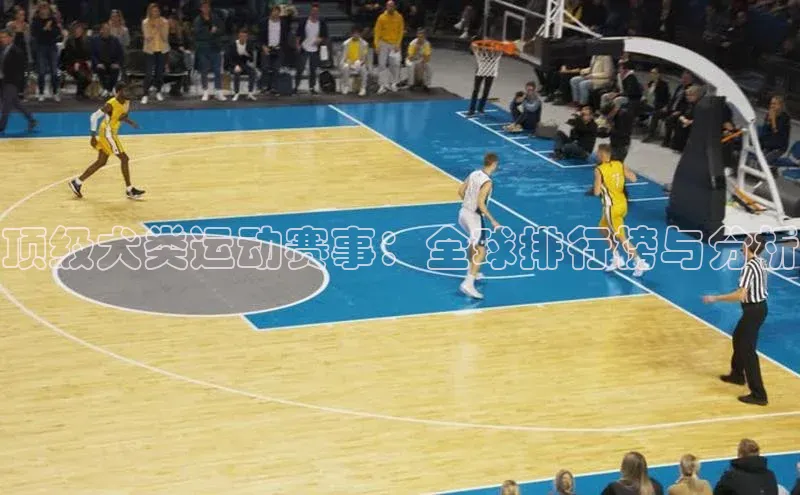 顶级犬类运动赛事：全球排行榜与分析