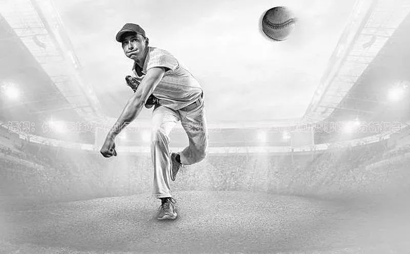 透视：体育竞技场外的经济价值与未来趋势——一项全面运动赛事收益分析报告